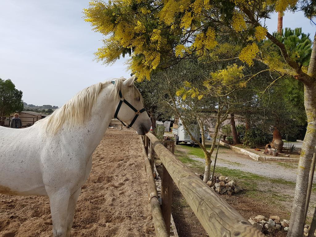 Finca Caballo Blanco Hotel Montuiri  Luaran gambar